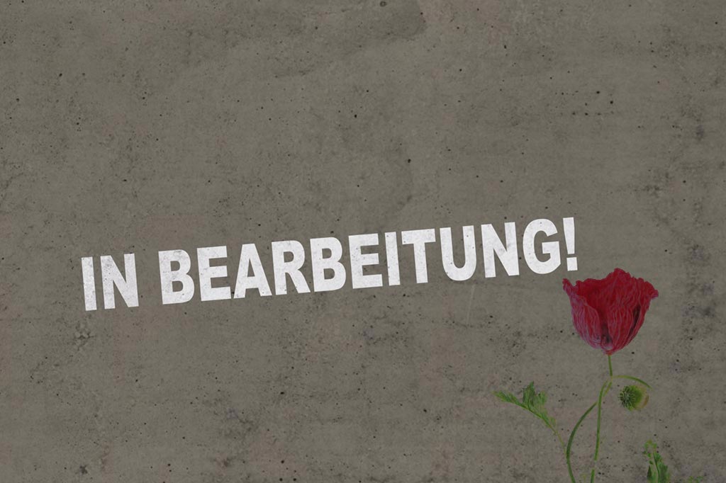 in Bearbeitung